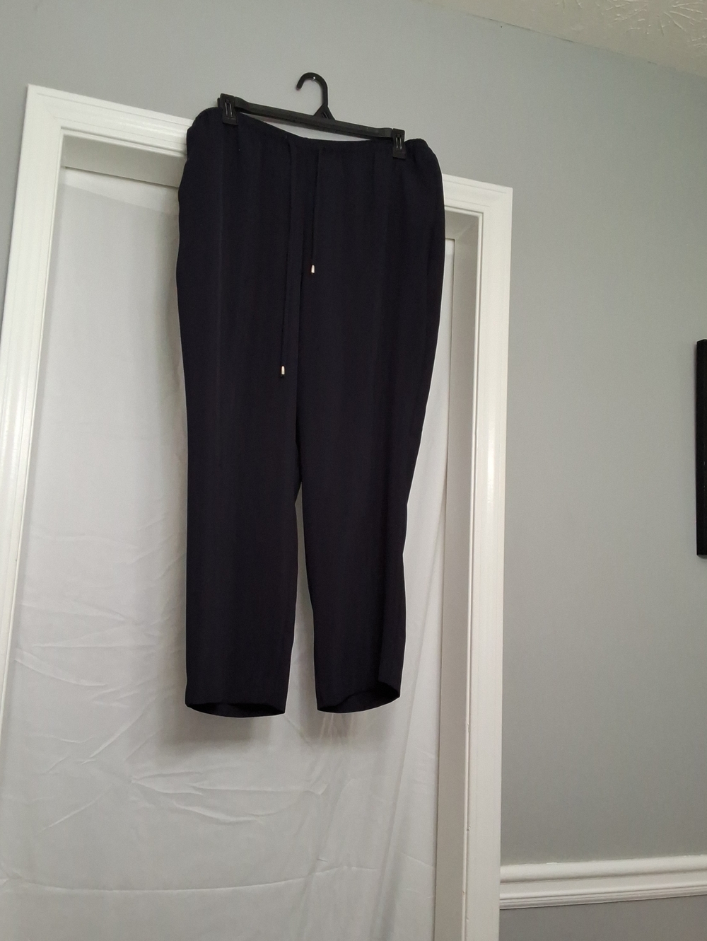 Woman Navy Blue Drawstring Dress Pants